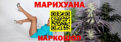 прущие грибы Будённовск