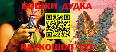 прущие грибы Будённовск