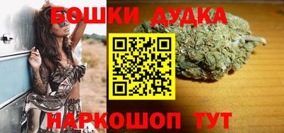 прущие грибы Будённовск
